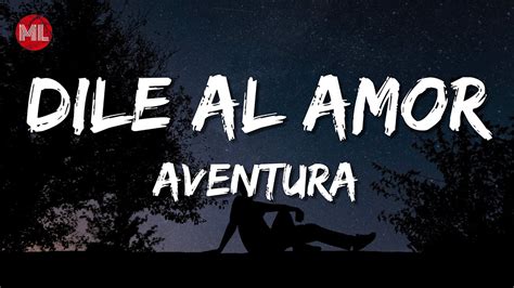 dile al amor meaning in english|aventura dile al amor lyrics.